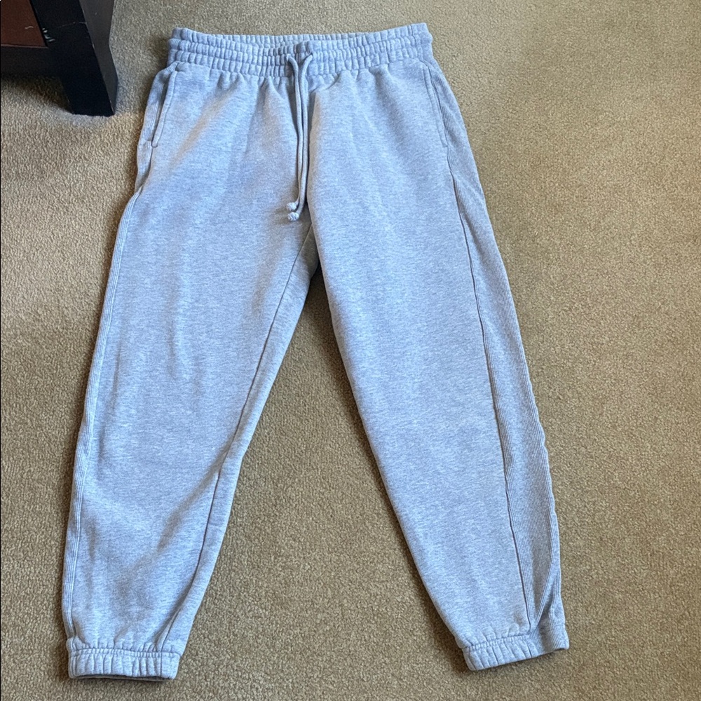 Aritzia Tna Gray fleece jogger/pants